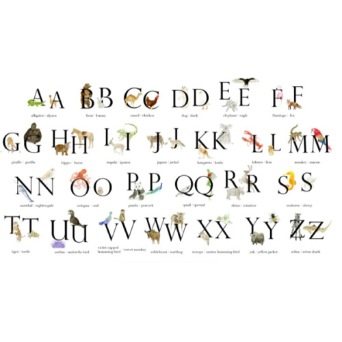 Monogram Alphabet Blanket