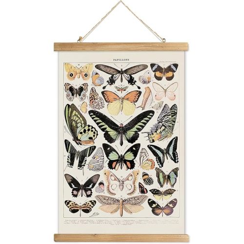 XIAOAIKA Vintage Butterfly Poster Hanger Frame, Cottagecore Room Decor Aesthetic, Retro Style Wall Decor Art Painting, Patterns are Printed on Linen Without Fading (16 x 23 inches)
