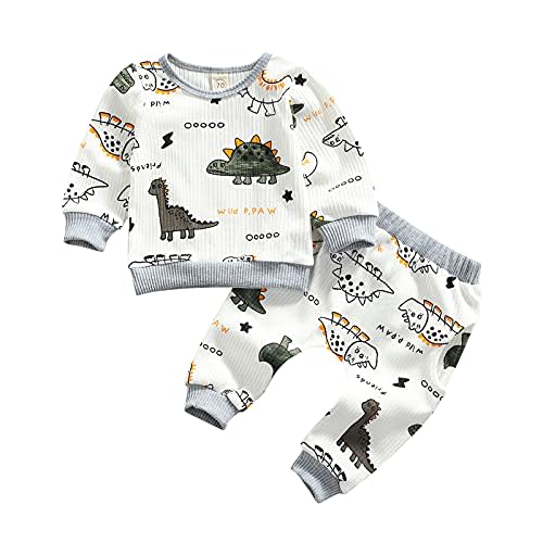Ledy Champswiin 2pcs Winter Newborn Baby Boy Clothes Infant Dinosaur Print Outfit Ribbed Long Sleeve Tops Pants Set