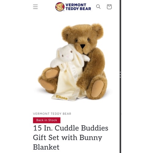 15 In. Cuddle Buddies Gift Set with Bunny Blanket – Vermont Teddy Bear