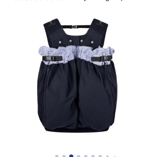 The Weego TWIN Baby Carrier