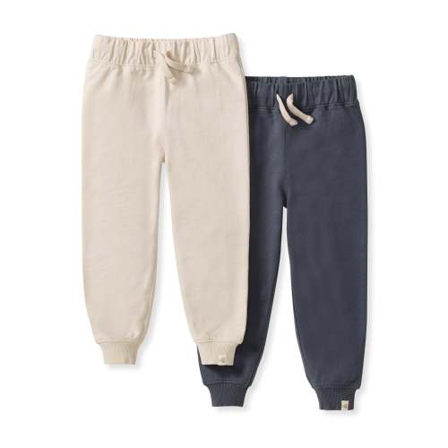 Basic Organic Cotton Boy Joggers 2 Pack – Burt's Bees Baby