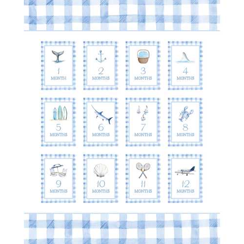 Baby Blue Gingham Milestone Cards | Classic Preppy Watercolor Monthly Photo Cards, Hand-painted Baby Shower Gift