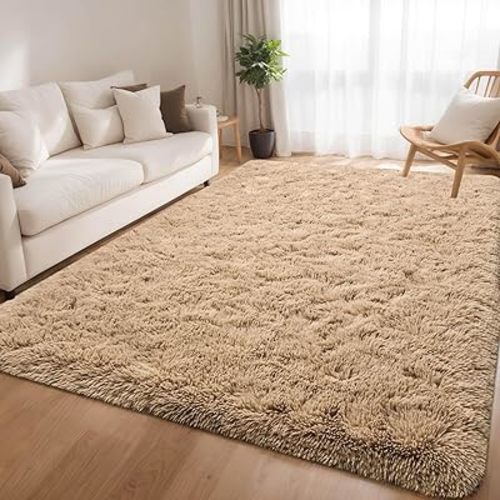 Beige Fluffy Soft Living Room Bedroom Rug, 4x6 Area Rugs Super Soft Shaggy Carpet for Living Room Classroom Kids Babys Playroom Toddler Nursery Dorm Home Decor, Modern Indoor Non Slip Rug