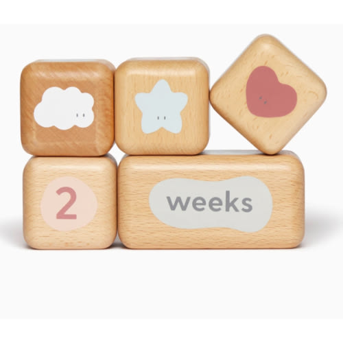 Wooden Baby Milestone Blocks