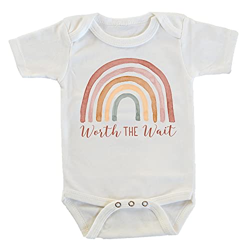 Witty and Bitty Worth the Wait Rainbow Gift after Infant Loss Miscarriage Onesie/Bodysuit