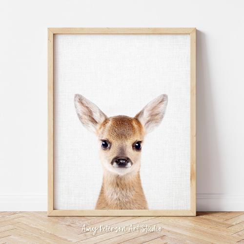 Baby Deer, Nursery Art, Woodland Animal Nursery Decor, Baby Animal Wall Art by Amy Peterson