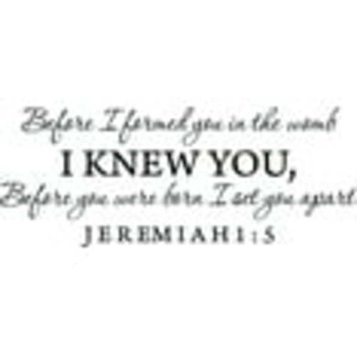 Black 40" x 16" Decaltor Before I formed you in the womb Jeremiah 1:5 Vinyl wall art family mother newborn bible prayer Inspirational quotes and saying home décor