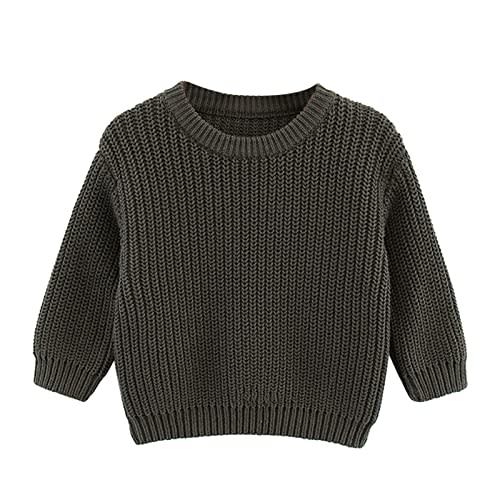 AMIMOJY Toddler Kids Baby Girl Boy Crewneck Long Sleeve Solid Sweater for Infant Knitted Sweater Autumn Winter