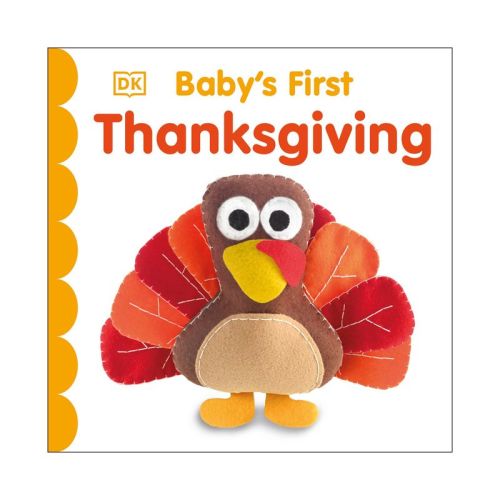 Baby's First Thanksgiving - by Dawn Sirett (Hardcover)