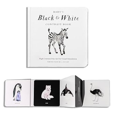 Baby's Black and White Contrast Book: High-Contrast Art for Visual Stimulation at Tummy Time : Paige, Tabitha: Amazon.com.au: Books
