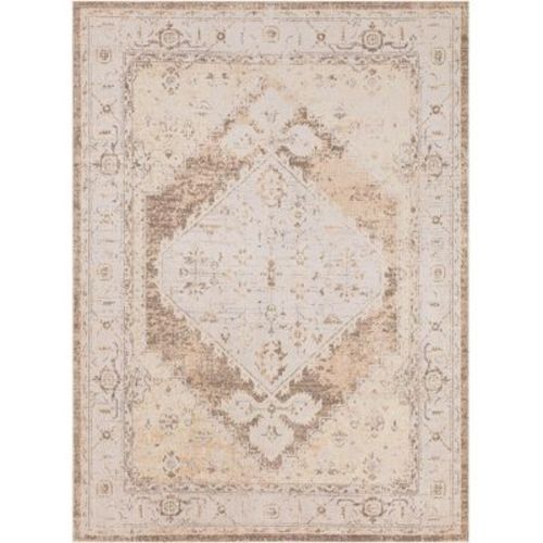 Nourison Washable Astra Vintage Persian Indoor Flatweave Area Rug Beige 5'3" x 7'