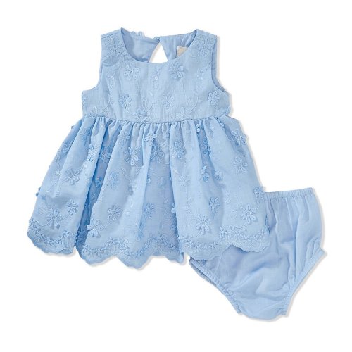 Rare Editions Baby Girls 3-24 Months Sleeveless Three-Dimensional Flower-Embroidered Fit & Flare Dress