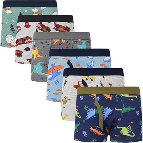 Boys Toddler Dinosaur Cotton Underwear Boxer Briefs 6 Pack