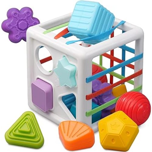 LiKee Montessori Toys for 1+ Year Old, Shape Sorter Baby Toys for Boys Girl Birthday Gift, Colorful Infant Toddler Toy, 10pcs Sensory Blocks Developmental Learning &Fine Motor Skill 18+ Month