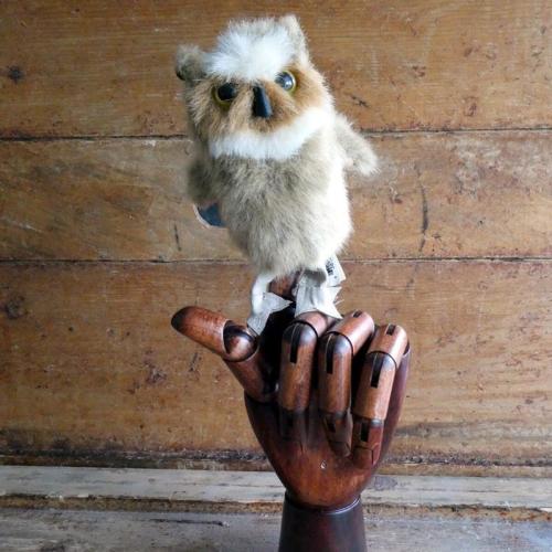 MINI GREAT HORNED OWL PUPPET - Coastal Maine Botanical Gardens Online Shop