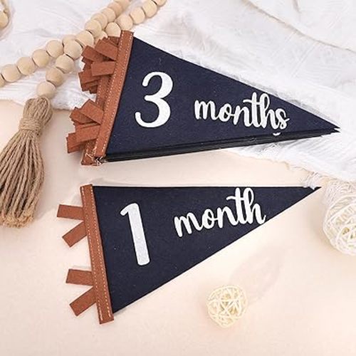 12 PCS Baby Monthly Milestone Felt Pennant - Navy Blue 1 to 12 Months Milestone Photo Props, Newborn Growth Record Triangle Banner, First Year Pennant Milestone Signs, Boys Monthly Pennant Photo Props