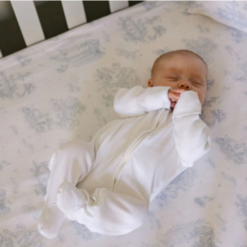 Spring Toile Fitted Crib Sheet (Blue)