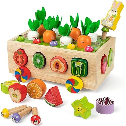 PELOSTA Montessori Toys for Toddler 1-3, Baby Wooden Educational Toy for 1 2 Year Old Boy Girl Gift, Farm Theme with Rabbit, 12 Fruit Blocks, 8 Carrots, 10 Worms & Shape Matching Sorting Car : Amazon.com.au: Toys & Games