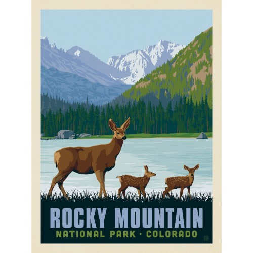 Rocky Mountain National Park: Deer Family | Anderson Design Group