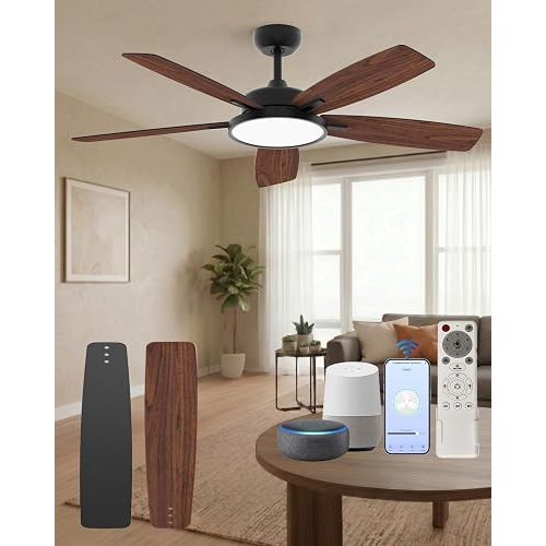 Roomratv Smart Ceiling Fan Compatible with App/Alexa/Google home,Black