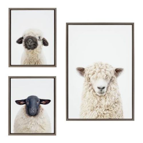 Kate & Laurel All Things Decor (Set of 3) Sylvie Animal Studio Black Nosed and Dorper Sheep Framed Canvas Wall Art Set by Amy Peterson