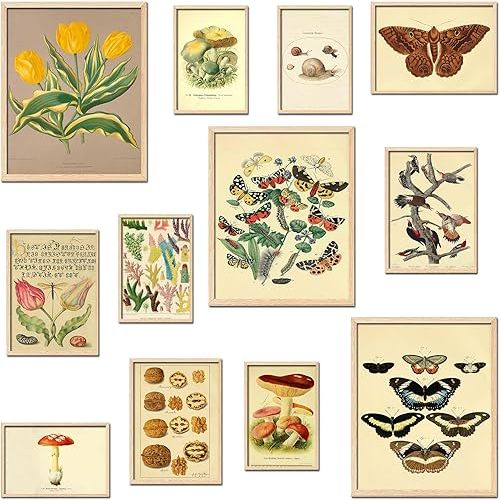 TRAMIN Cottagecore Wall Art - Vintage Fairycore, Nature Earthy Posters For Room Aesthetic, Boho Fairy Room Decor, Mushroom Cottage Core Wall Art For Dorm Bedroom (unframed)