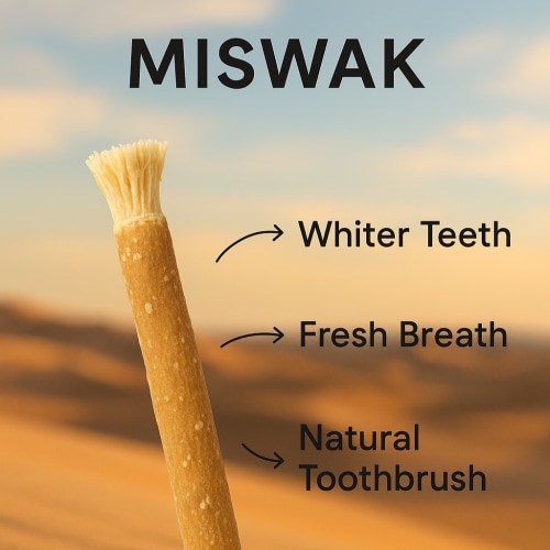 Ancient Miswak Toothbrush 1pc – Healthyliving