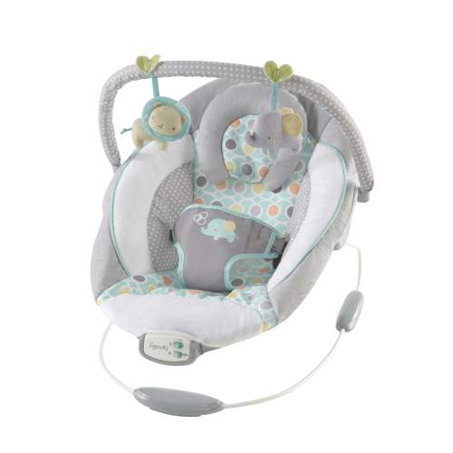 Ingenuity Morrison Soothing Baby Bouncer with Comfort Vibration & Music (Unisex)