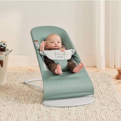 (Goal-$209.99)Fund for BabyBjorn Balance Soft Bouncer