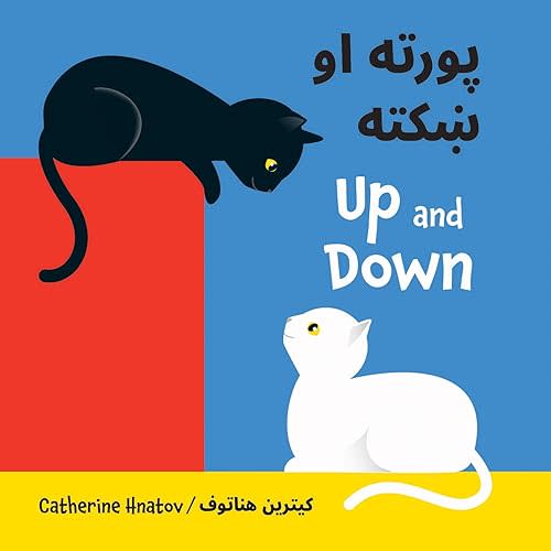 Up and Down (Iranian Languages and English Edition) Board book – June 30, 2022