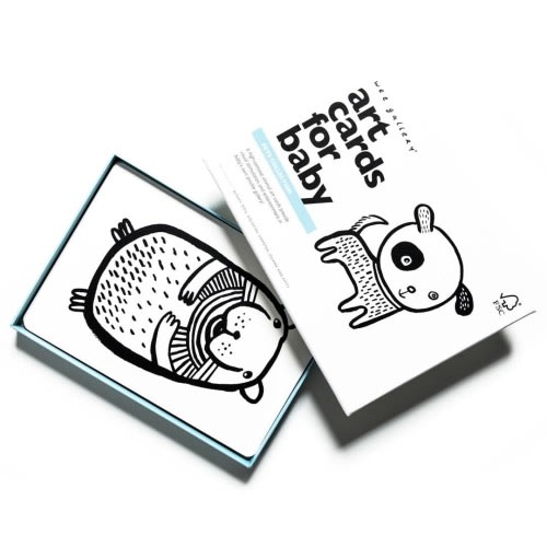 Pet Collection Art Flashcards