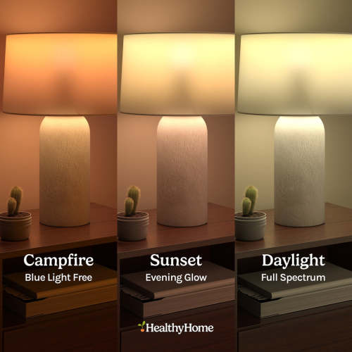 Circadian Lightbulb – The Healthy Home Shop