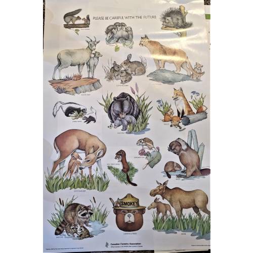 NEW posters, 1989 Smokey the Bear forest animals, identification Educational , forestry poster,20 by 28 inches