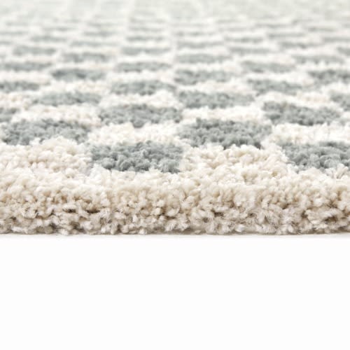 Covey Plush Checkered Thick Shag Area Rug