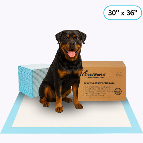 Buy Economy Training Potty Pads (23x36 Inch) – PetsWorld Inc