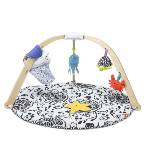 Ocean Easy-Fold Play Gym