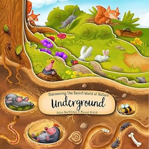 Discovering the Secret World of Nature Underground (Happy Fox Books) Board Book Takes Kids Ages 3-6 Deep into the Ground with Every Turn of the Page, plus Fun Facts and Vocabulary Words (Peek Inside)