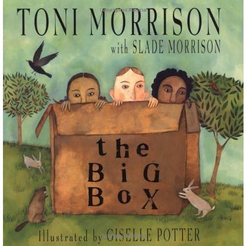 The Big Box Paperback – Picture Book