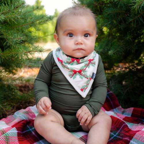 Bib in Holiday Bow