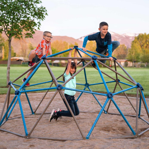 Lifetime 54-Inch Geometric Climbing Dome Jungle Gym & Reviews | Wayfair