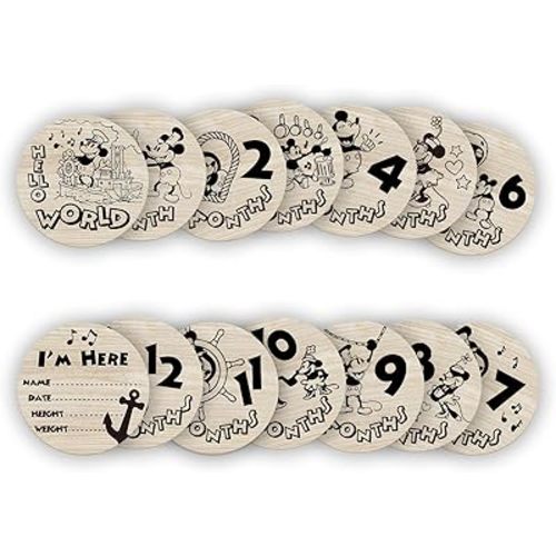 Little Mouse Baby Age Milestone Sign, Baby Monthly Cards/Discs for Baby Pregnancy Growth Photo Prop 7 Pcs Double Sided