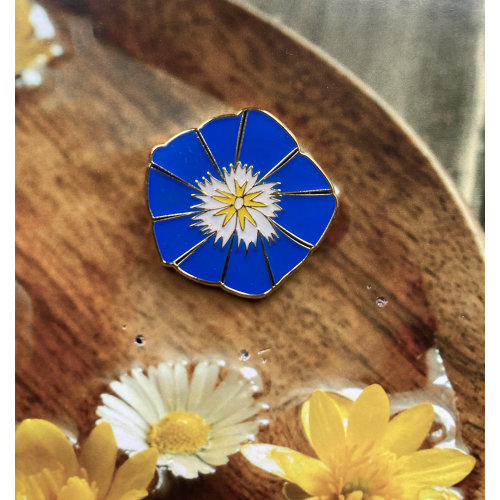 Pin Morning Glory