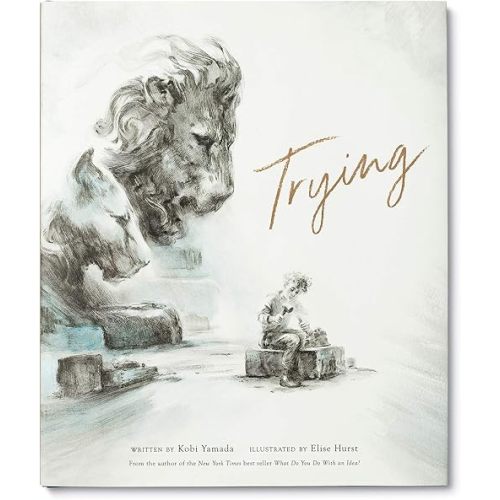 Trying Hardcover – Illustrated, December 15, 2020