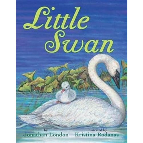 Little Swan