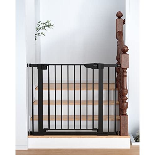 Gate for Doorways