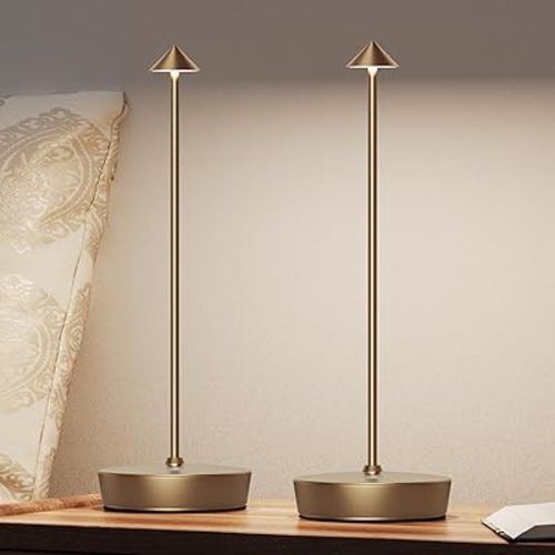 Cordless Battery Powered Table Lamp, Rechargeable LED Dimmable Brightness Metal 6000mAh Touch Desk Lamp Portable Modern Design for Restaurant Patio Indoor & Outdoor (Titanium 2 Pack)
