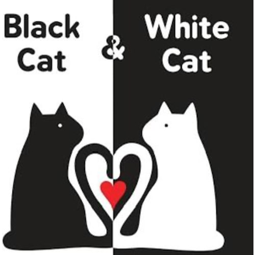 Black Cat & White Cat a book by Claire Garralon - Bookshop.org US
