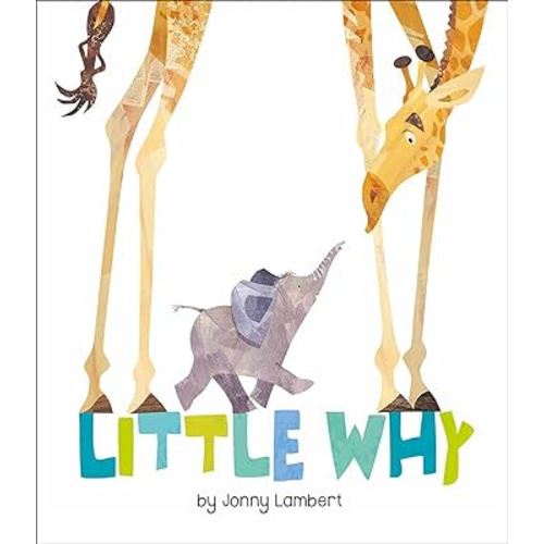 Little Why