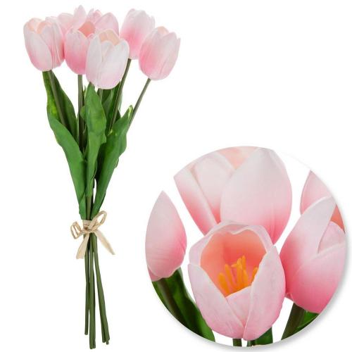 True Touch Tulip Bundle